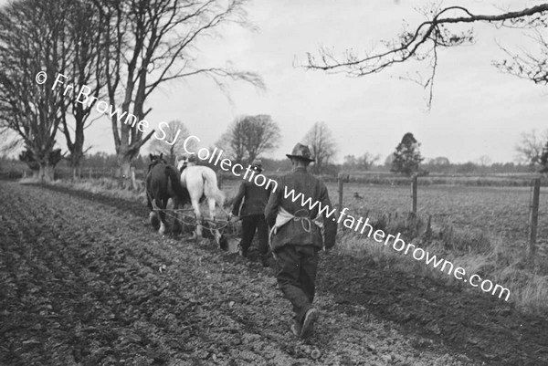 SOWING EARLY WHEAT